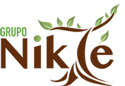 Grupo Nikte